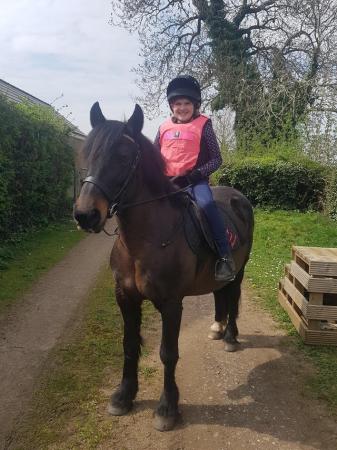 Image 1 of 13 hh pony for loan  bonnie is wanting some1 to love her thi