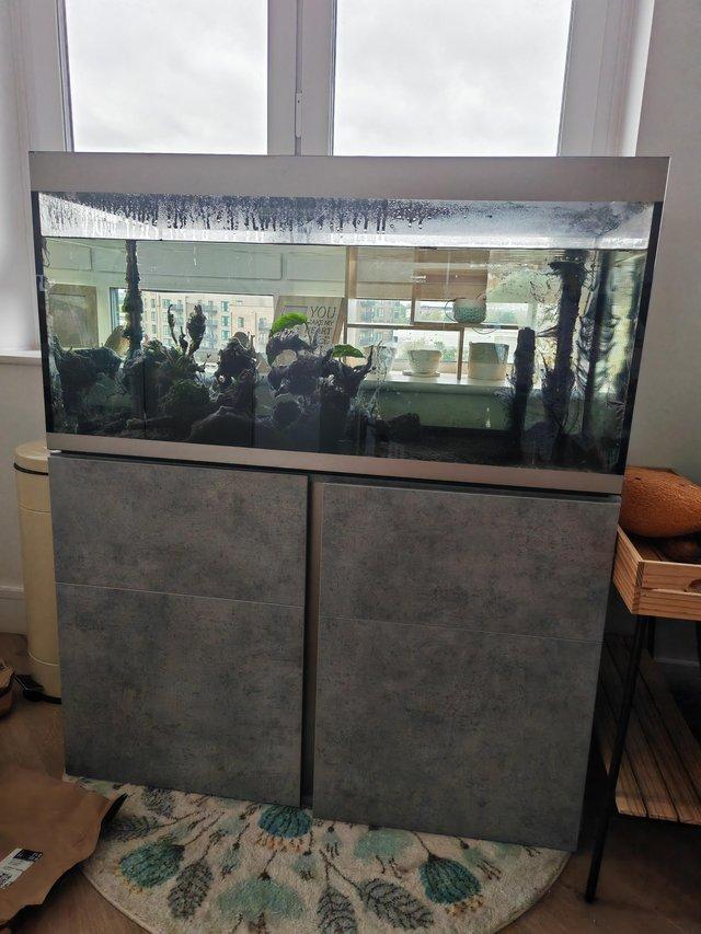 Preview of the first image of Fluval Siena 332L - Large Fish Tank, Used Like-New.