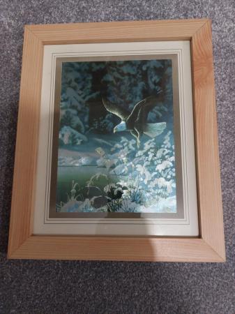 Image 1 of Framed picture- print of an Eagle