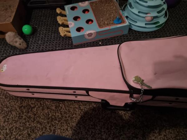 Image 1 of 4/4 full size student violin pink