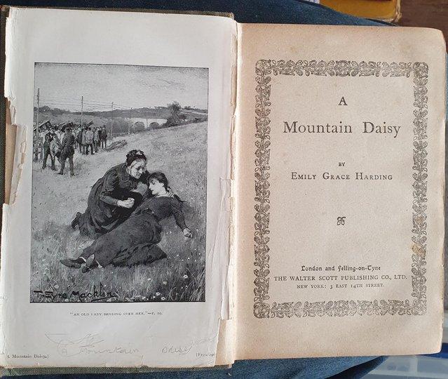 Preview of the first image of Emily Grace Harding - A Mountain Daisy.