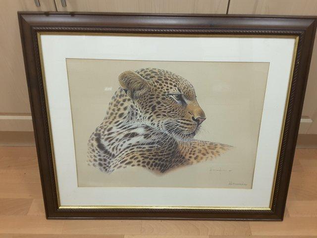 Preview of the first image of KIM BROOKS LEOPARD STUDY LIMITED EDITION PRINT.