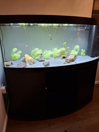 Image 2 of Juwel Vision 450 fish tank aquarium