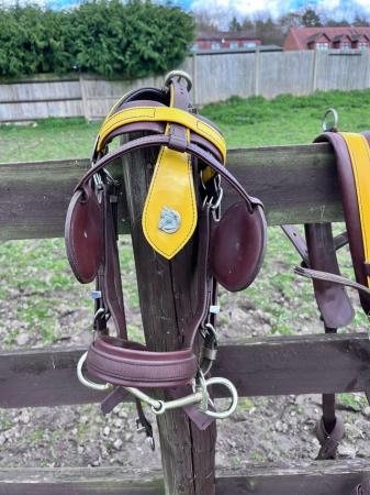 Image 2 of Brown and yellow Topmark harness
