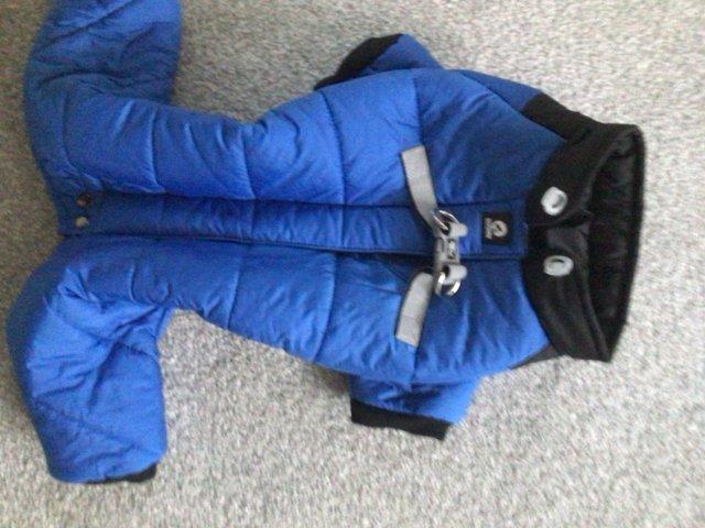 Preview of the first image of New Blue Padded Winter Coat for Small Dog Breeds.