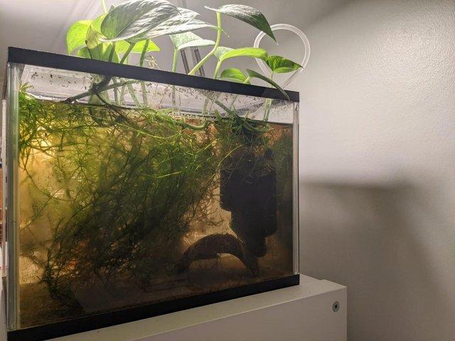 Preview of the first image of Nano Aquarium Fish Shrimp Tank.
