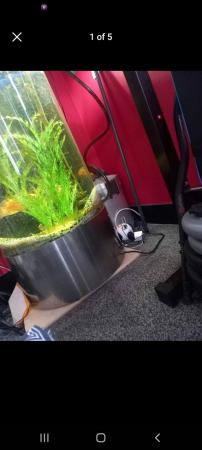 Image 3 of Fish tank with 2 fish all setup