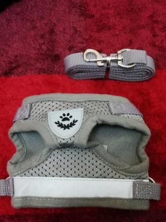 Image 5 of Cat Harness and lead GREY brand new size XS