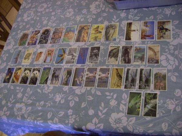 Image 2 of Cigarette Cards 28 & 11 large cigarette Cigar cards. 39 in a