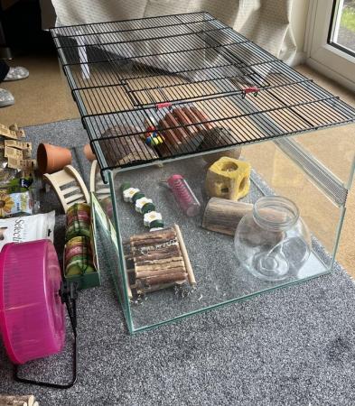 Image 8 of Small Animal Glass Tank and Accessories for hamsters, gerbil