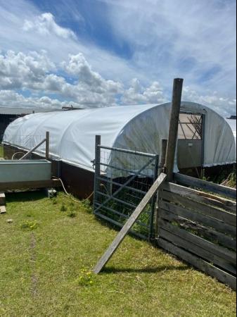 Image 4 of Mobile Polytunnels for sale