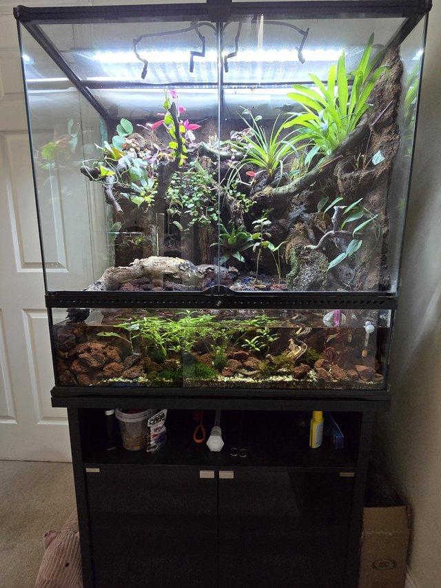 Preview of the first image of Fully Establised Paludarium.