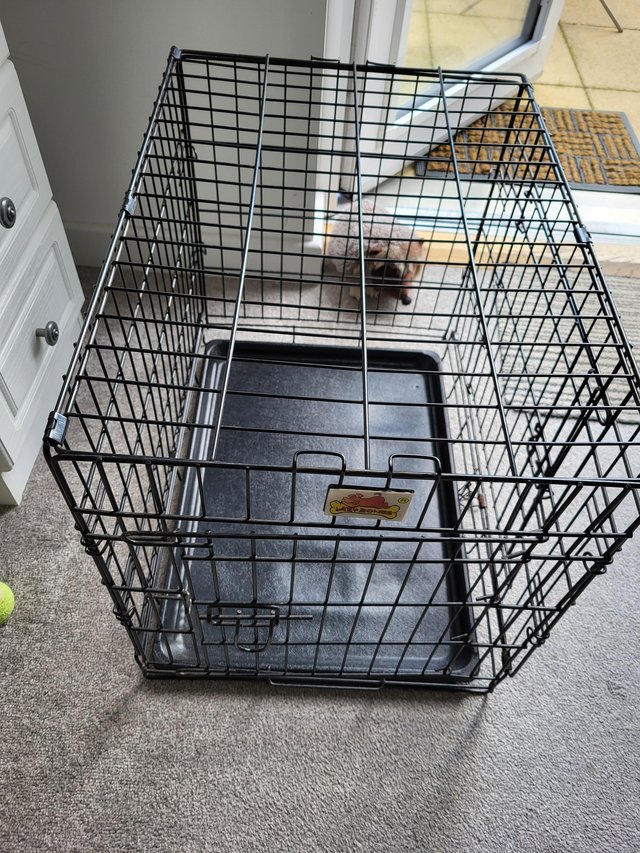 dog cage Second Hand Pet Accessories For Sale in Worksop Preloved