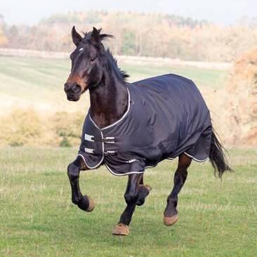 Preview of the first image of Horse turnout rug Brand new 5'9"  Shires Temp Plus 300 gram.