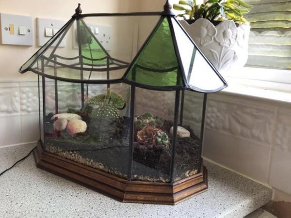 Image 1 of Terrarium 50 or 60 years old planted leaded coloured glass