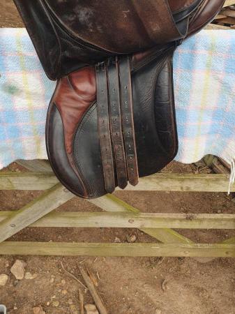 Image 2 of Brown leather pony saddle 16" medium fit.