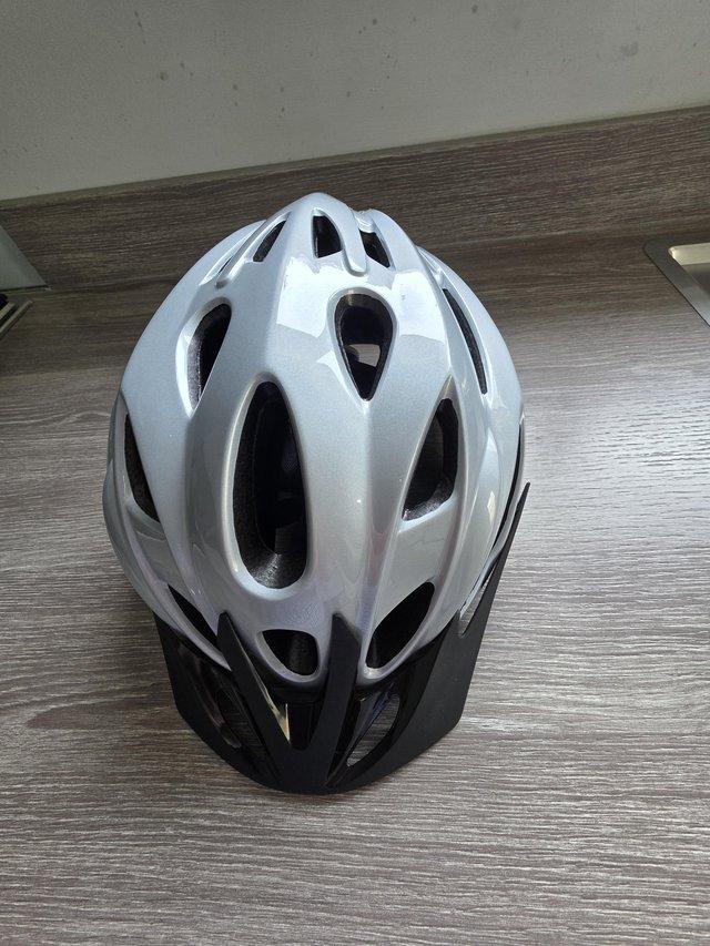 RALEIGH SIZE L (Large) ?HEAD CIRCUMFERENCE: 58–61 cm SILVER