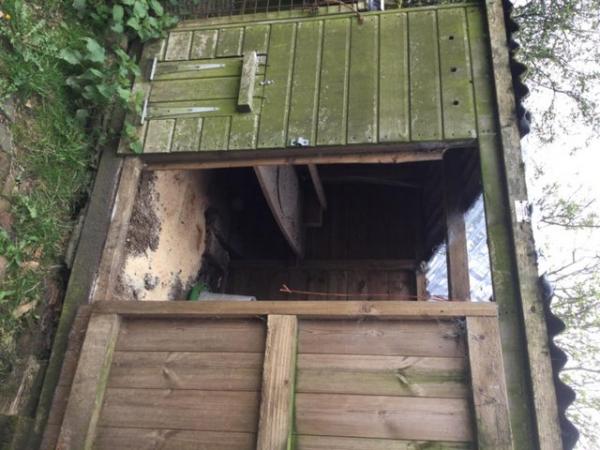 Image 2 of Poultry hut for sale with run
