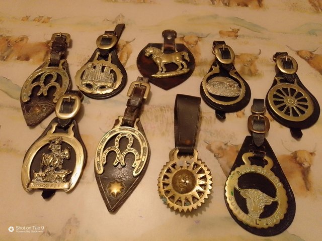 Preview of the first image of 9 Horse Brasses on Leather Straps.
