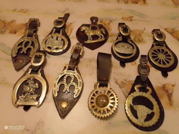 Image 1 of 9 Horse Brasses on Leather Straps