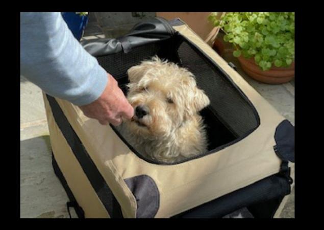 Image 3 of Amazon Basics Collapsable Dog Crate
