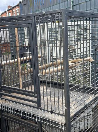Image 2 of Parrot cages for sale used condition