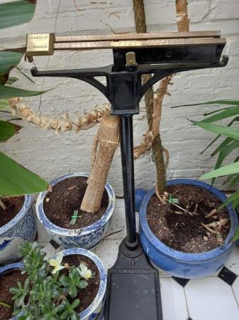 Image 1 of Large antique Avery scales, black metal and brass
