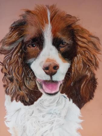 Image 2 of Hand Drawn Pet Portraits in pastel