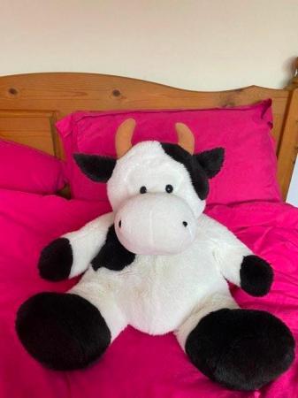 Image 1 of Big Annie The Cow cuddly toy, perfect for Christmas