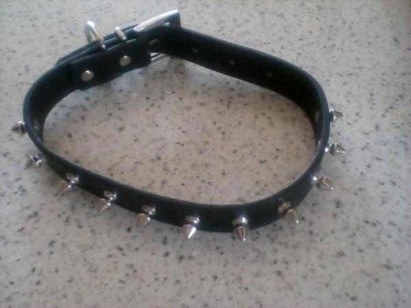 Image 2 of Heavy chain Dog Lead and Studded collar - unused