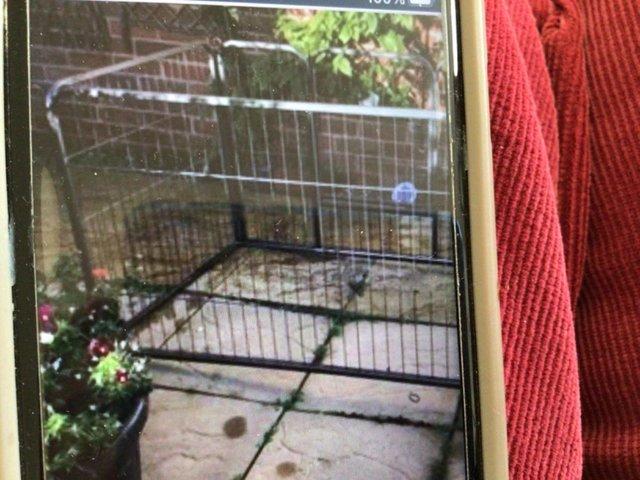 Preview of the first image of Metal cage for dogs/ puppies..