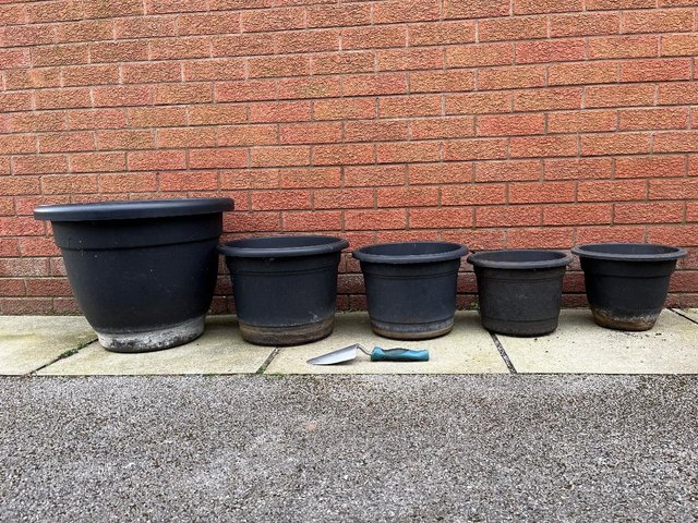 Preview of the first image of Garden Plant Pots Large to Small + Seed Trays.