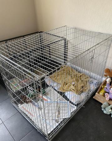 Image 1 of XXL Cage/Crate for Sale