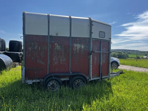 Image 2 of Iforwilliams 505 horse trailer