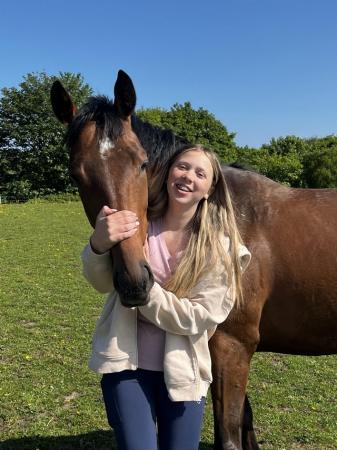 Image 2 of 6 YO thoroughbred mare for sale