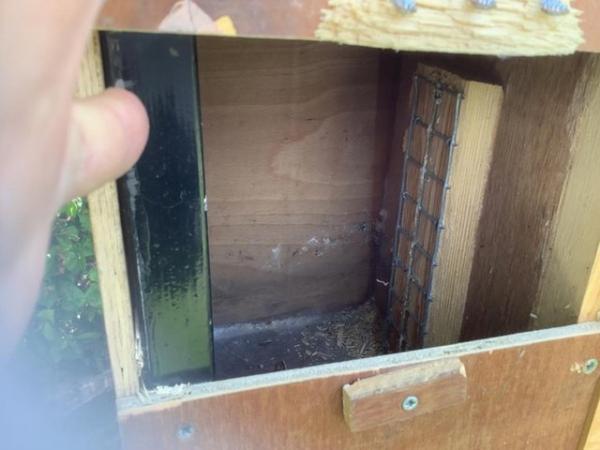 Image 5 of Parakeet breeding cages, built in nest boxes