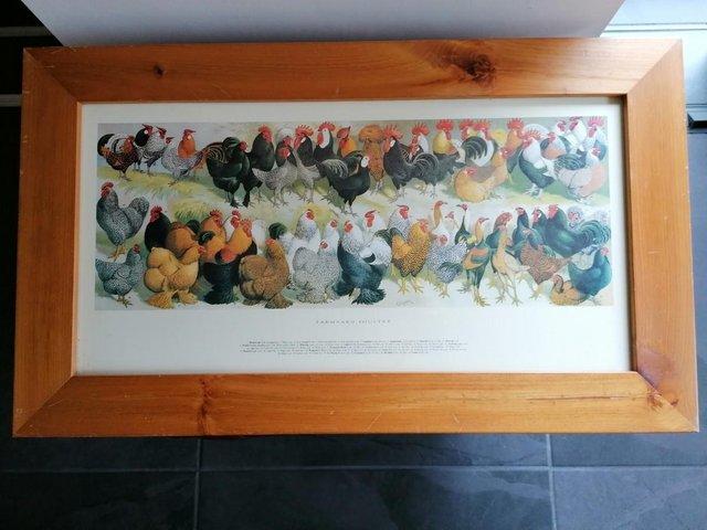 Preview of the first image of Farmyard Poultry Framed Print by A F Lydon.