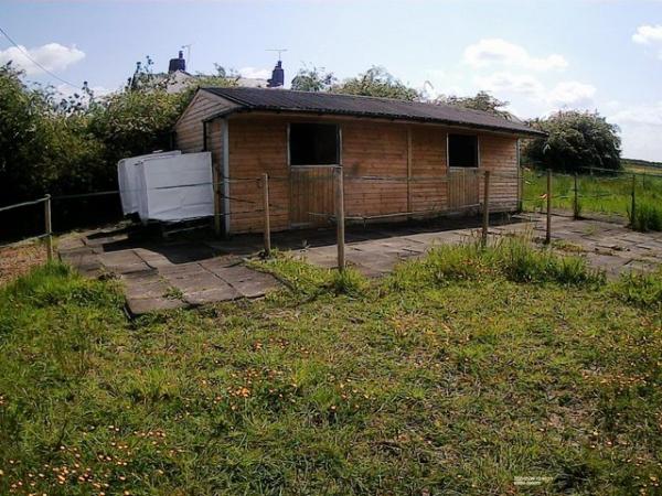 Image 14 of Stables on a Nine Acre Field available to Rent in Hawarden
