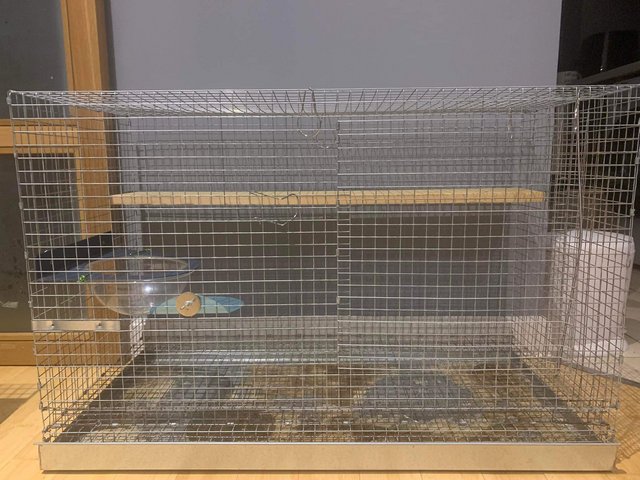 Preview of the first image of Two Thicket House Chinchilla Cage Plus Accessories.