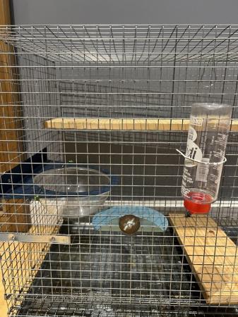 Image 6 of Two Thicket House Chinchilla Cage Plus Accessories