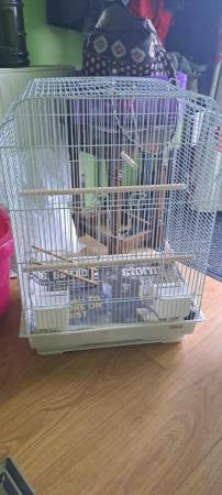 Image 1 of White bird cage with accessories