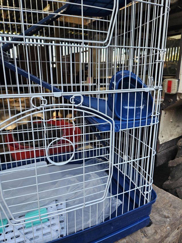 Preview of the first image of Rodent Guinea pig large cage.