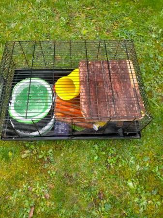 Image 10 of Various rodent cages and accessories