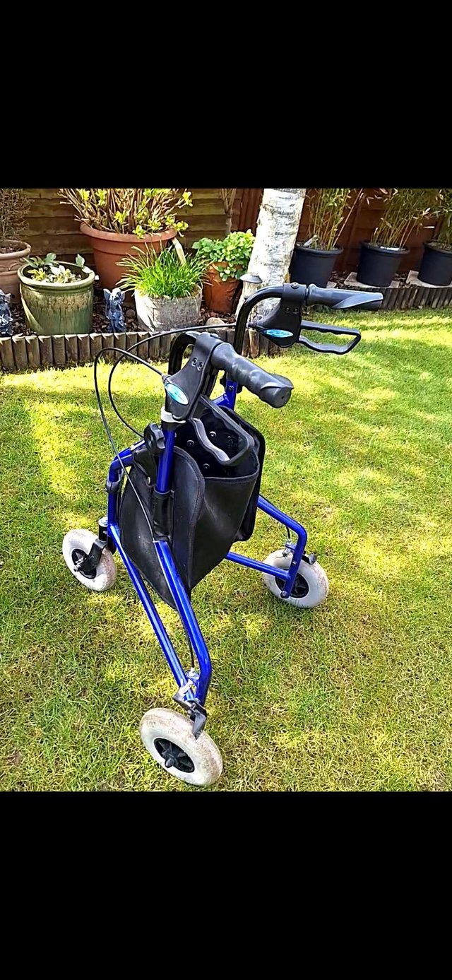 Preview of the first image of Tri Walker  with storage/shopping basket.