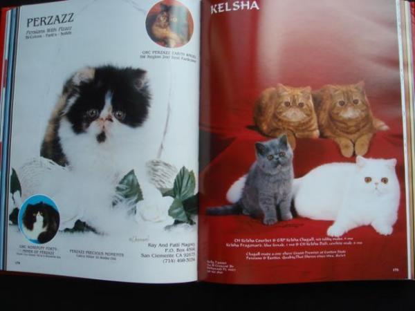 Image 5 of CFA (USA) Year Book Pedigree Show Cats GCCF Persian Siamese