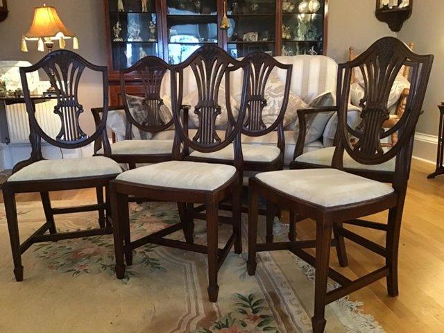 Preview of the first image of 6 Dining Chairs including 2 Carvers..