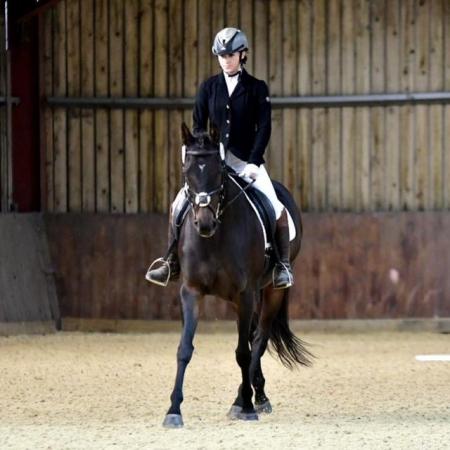 Image 3 of Stunning 15.3hh Allrounder Mare