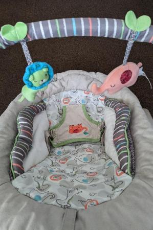 Image 4 of Lovely Jungle Themed Baby Bouncer With Vibration & Sounds