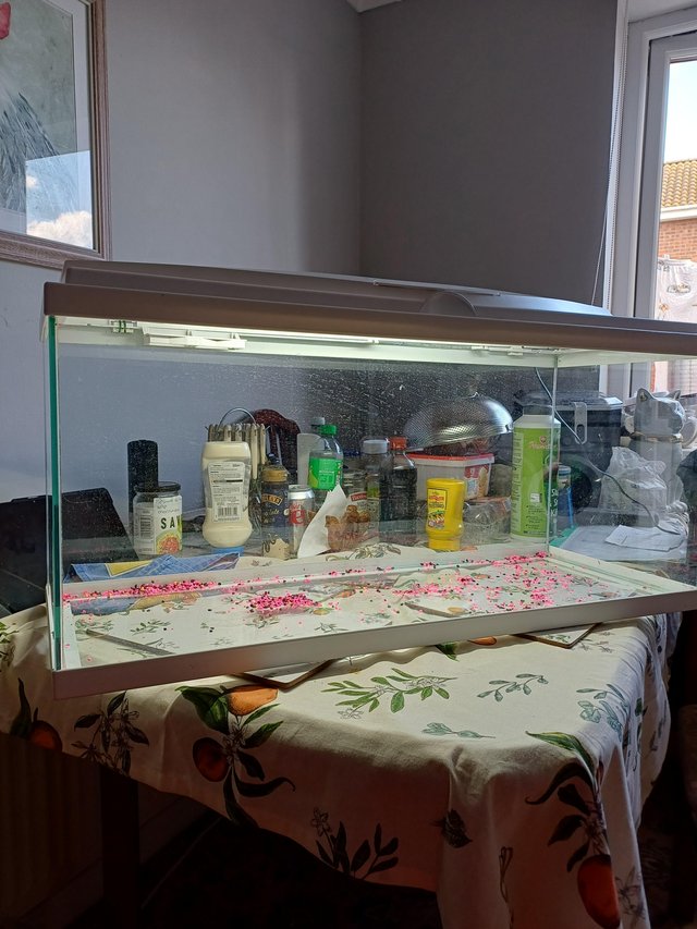 Fish tank and light and gravel — photo 4 of 4