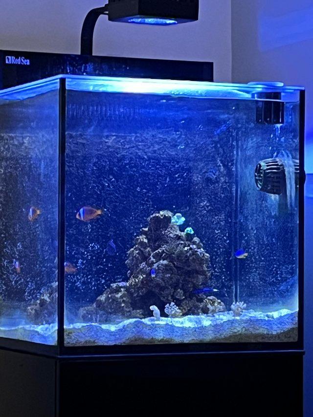 Preview of the first image of Red Sea Nano max marine tank in black full setup.
